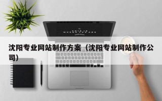 茌平沈阳专业网站制作方案（沈阳专业网站制作公司）